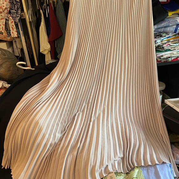 Babaton Dresses & Skirts - Jude skirt Aritzia